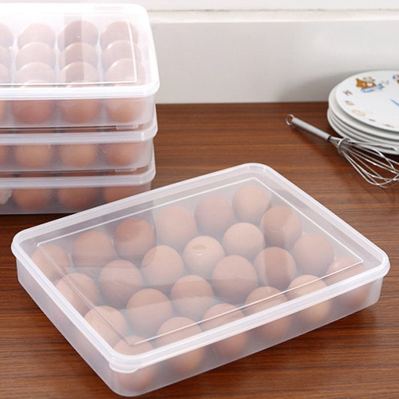 Param 24 Grids Egg Tray Transparent Fiber Freezer Storage Box Eggs Preservation Box ABS Plastic - Image 1