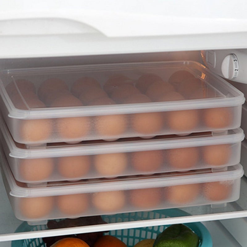 Param 24 Grids Egg Tray Transparent Fiber Freezer Storage Box Eggs Preservation Box ABS Plastic - Image 5