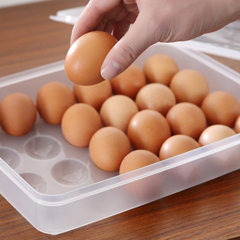 Param 24 Grids Egg Tray Transparent Fiber Freezer Storage Box Eggs Preservation Box ABS Plastic - Image 3