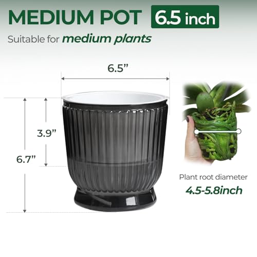 T4U 6 Inch Self Watering Pots for Indoor Plants 4 Pack Self Watering Planter Self Watering Pot with Reservoir Small Self Watering Pots for Plants African Violets 4 Pack 6 Translucent Gray - Image 3