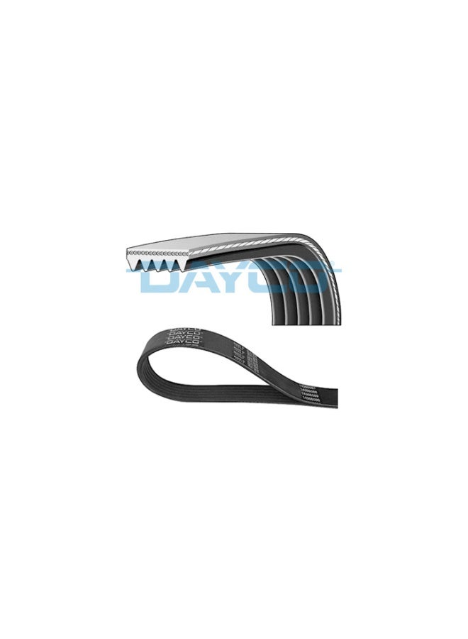 أحزمة مضلعة على شكل حرف V   -  5PK1140