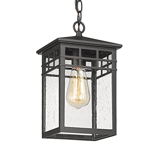 Diyel Outdoor Pendant Light Lanterns for Front Porch, Black Exterior Hanging Light Fixtures with Seeded Glass Shade for Patio, Entryway, Garage, Gazebo, RZ009-H BK - Image 1