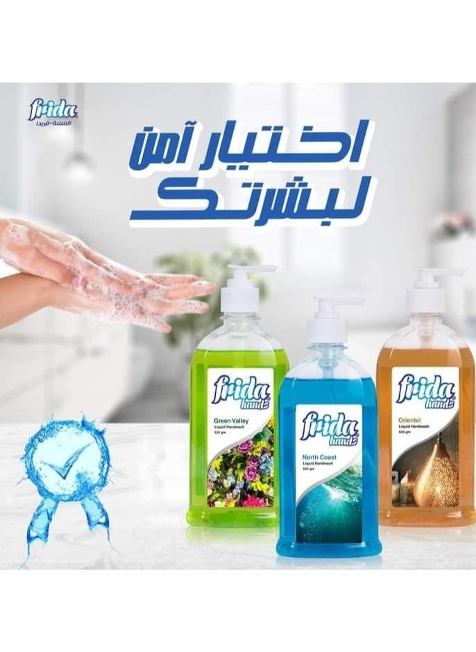 فريدا - فريدا غسول اليدين السائل جرين فالي 1+1 520 مل - Image 1