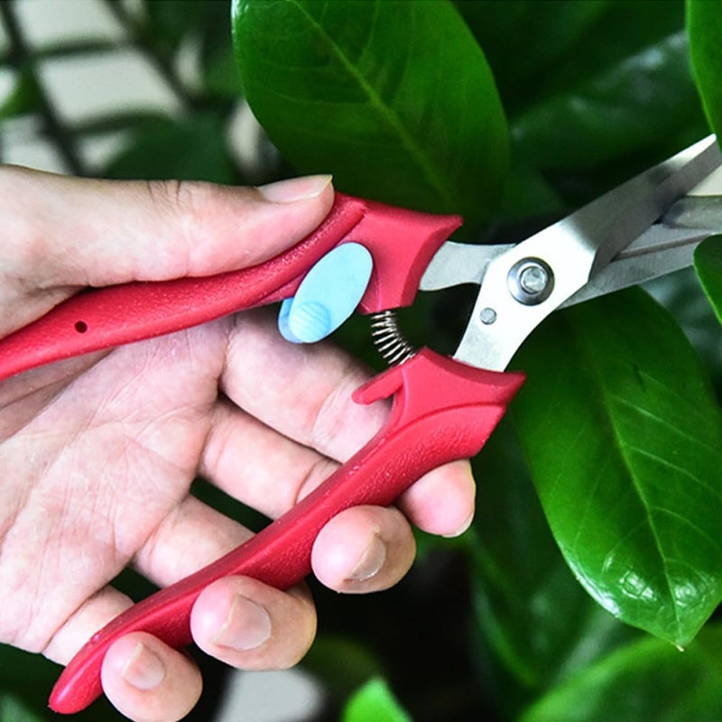 Fruit Picking Scissors Garden Trimming Shears Pruning Clippers with Sharp Blades for Fruit Trees and Branches, 1pcs Handheld Landscaping Tool for Orchard and Home Gardening - Image 3