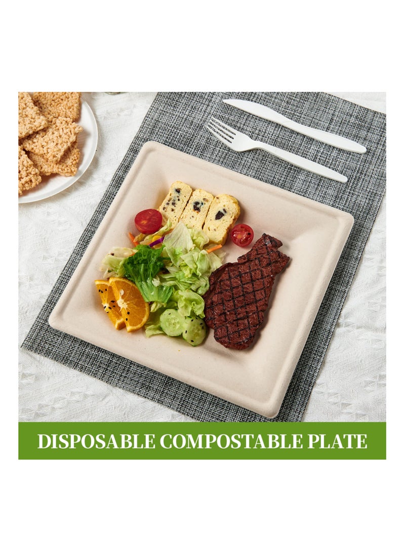 SYOSI 100PCS 6 Inch Compostable Square Plates, Disposable Sugarcane Paper Plates Eco-friendly Biodegradable Square Plates {PFAS-Free} - {BPI Certified} Sturdy Square Plates Heavy Duty Sugarcane Plates  - Image 4