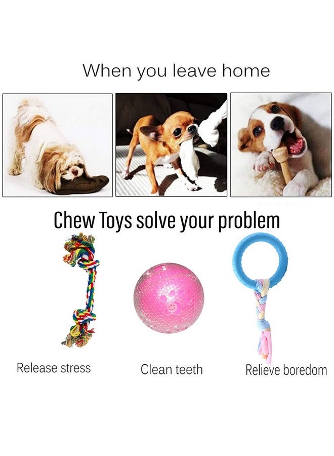 Emily Pets Rope 2 Knot 11 Inch Rope Toy Dog Chew Toy Braided Rope Cartoon Rinr Shaped Toys Paw Print For Dog 7 Inch Interactive Tpr Transparent Snake Ball (Color May Vary) Pack Of 3 - Image 4