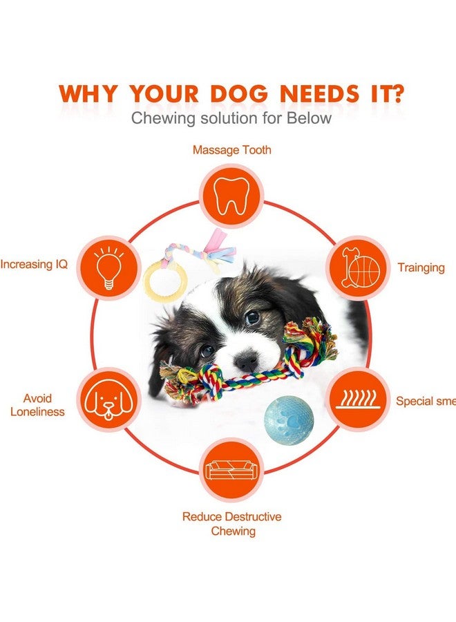 Emily Pets Rope 2 Knot 11 Inch Rope Toy Dog Chew Toy Braided Rope Cartoon Rinr Shaped Toys Paw Print For Dog 7 Inch Interactive Tpr Transparent Snake Ball (Color May Vary) Pack Of 3 - Image 5