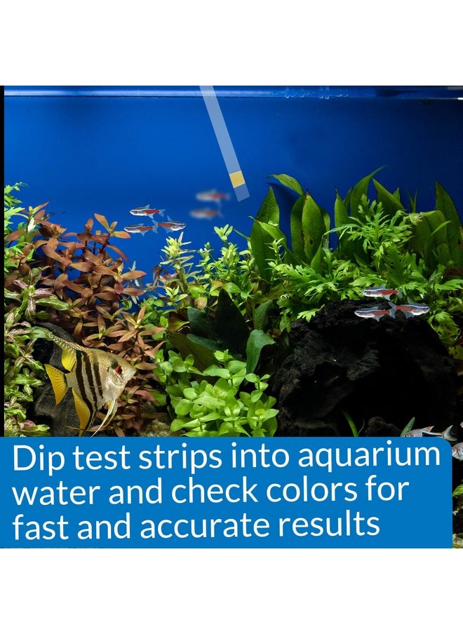 API Aquarium Pharmaceuticals® Ammonia Aquarium Test Strips  - Image 4