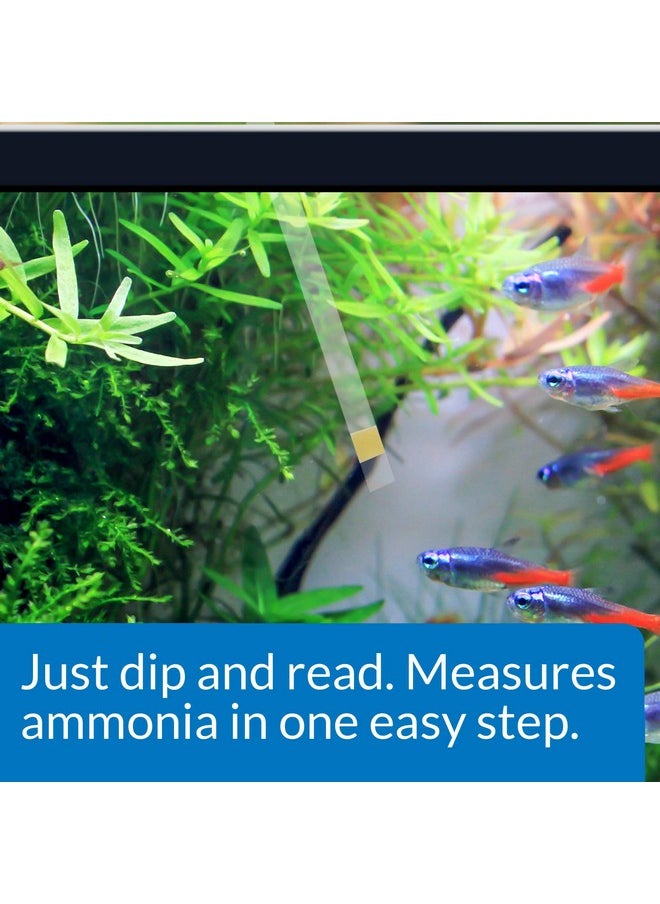 API Aquarium Pharmaceuticals® Ammonia Aquarium Test Strips  - Image 2