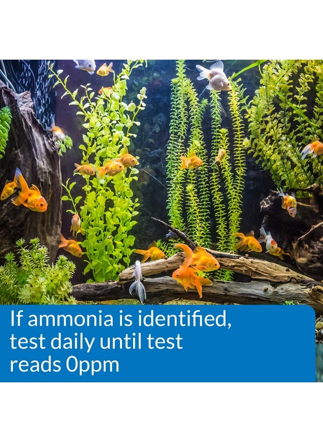 API Aquarium Pharmaceuticals® Ammonia Aquarium Test Strips  - Image 3