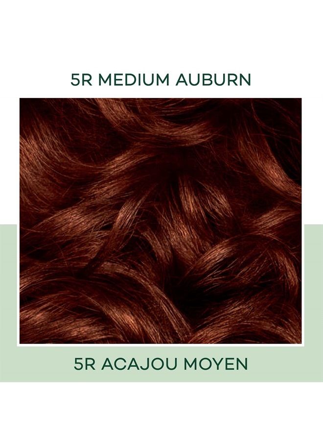 CLAIROL صبغة شعر ديمي دائمة من الطبيعة، لون شعر 5R بني متوسط، عبوة 1 - Image 3