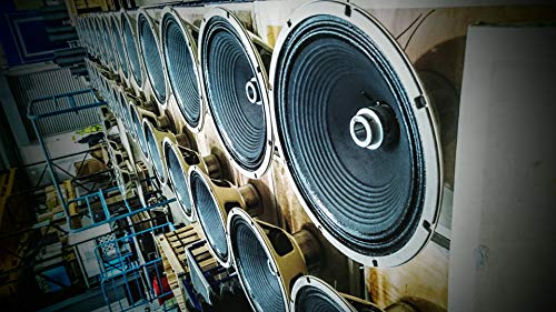 Celestion G10 Gold guitar speaker - Image 2