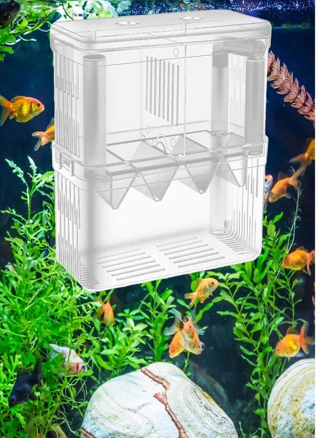 Scroll Store Aquarium Double Deck breeding Box for Fish | Isolation Box for Fish and Shrimp (Large) - Image 3