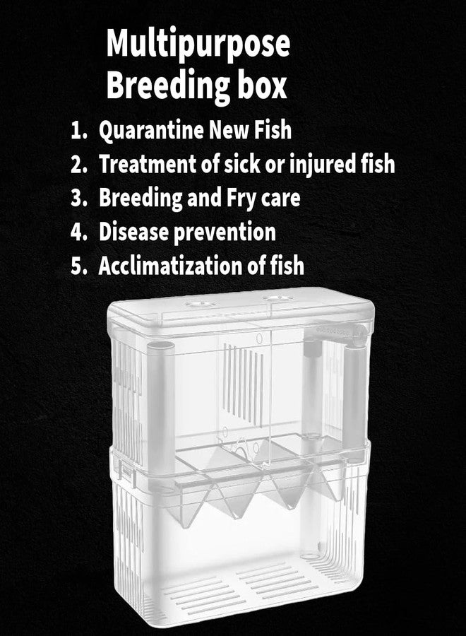 Scroll Store Aquarium Double Deck breeding Box for Fish | Isolation Box for Fish and Shrimp (Large) - Image 2