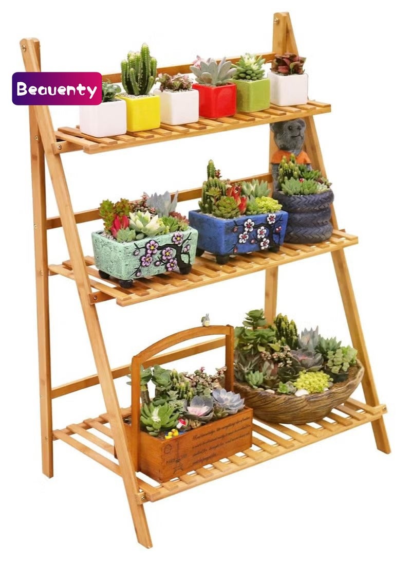 بيوينتي وعاء الزهرة عرض الرفوف - Image 1