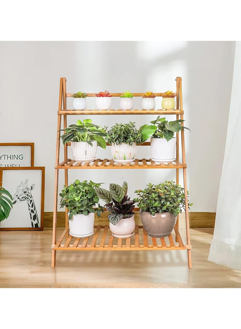 بيوينتي وعاء الزهرة عرض الرفوف - Image 3