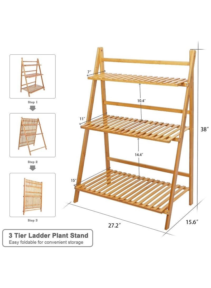 بيوينتي وعاء الزهرة عرض الرفوف - Image 5