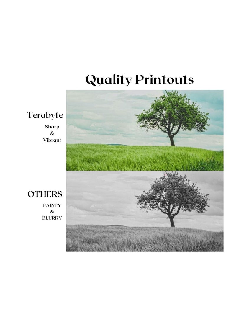 Terabyte TONER CARTRIDGE TN421/441/451/426/446/456/429/459/436/423 CYAN - Image 4