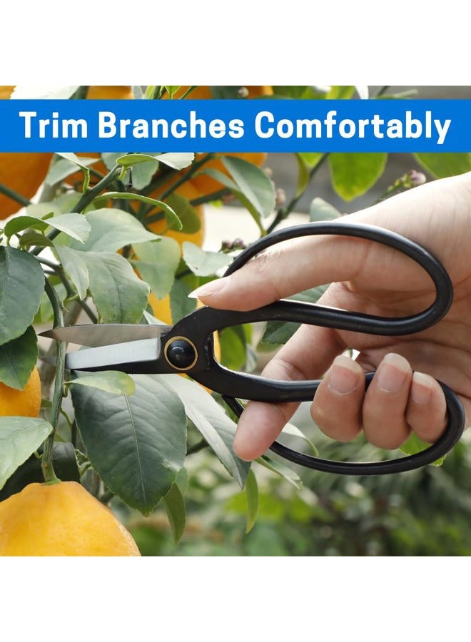VISEMAN Japanese Bonsai Pruning Scissors-KinTakashi Gardening Shears for Bonsai Trimming - Image 5