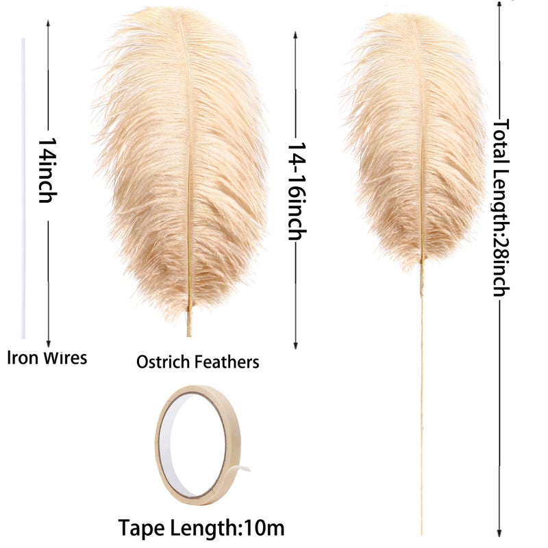 Ballinger Champagne Ostrich Feathers Bulk - Making Kit 10Pcs 28 inch Large Boho Feathers for Vase, Floral Arrangement, Wedding Party Centerpieces and Home Decor - Image 3