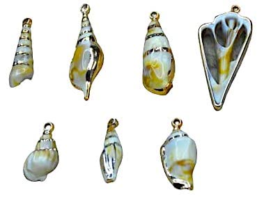 ANI Accessories 1 Set 7 pcs DIY Natural Colour Acrylic Seashell DIY for Necklace Bracelet Jewelry Making and Crafting Charms - Image 1