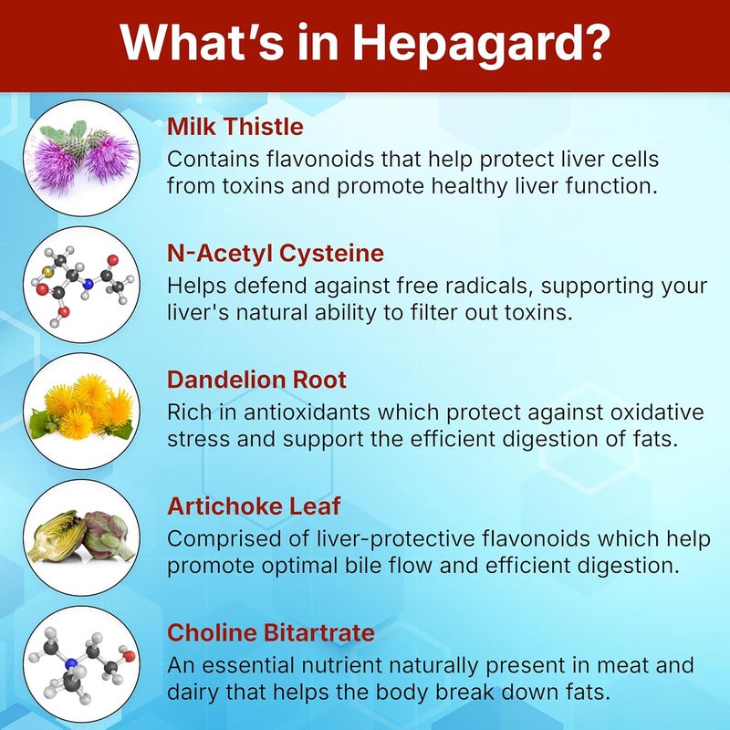 Hepagard مكمل دعم الكبد الطبيعي مع NAcetyl Cysteine NAC نباتي غير معدل وراثيًا خالي من الغلوتين - Image 5