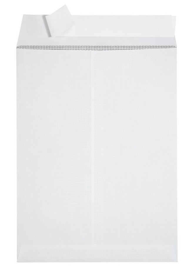 Blue Summit Supplies - 250 6 X 9 Self Seal Security Catalog Envelopes Designed For Secure Mailing Securely Holds Small Booklets Catalogs Cards Or Brochures With Strong Peel And Seal Flap 250 Envelopes - Image 1
