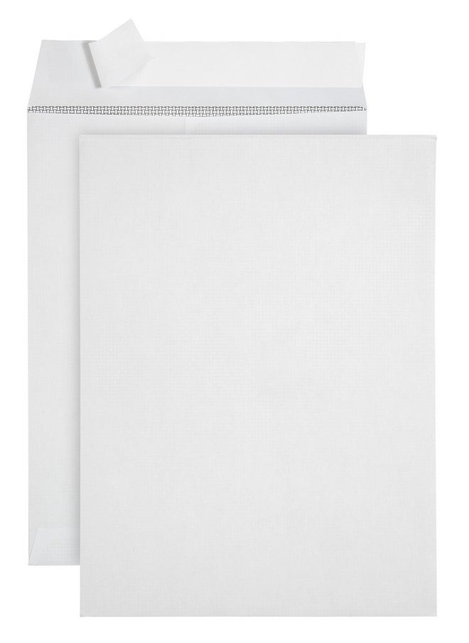 Blue Summit Supplies - 250 6 X 9 Self Seal Security Catalog Envelopes Designed For Secure Mailing Securely Holds Small Booklets Catalogs Cards Or Brochures With Strong Peel And Seal Flap 250 Envelopes - Image 1
