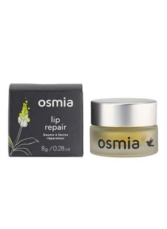 Osmia Organics Natural Lip Repair Overnight Mask  Hydrating Gloss  Clean Beauty For Healthy Skin 026 oz  77 g