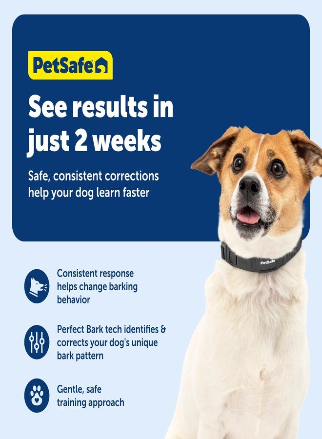 PetSafe NanoBark Collar - Long-Lasting Lightweight Mini Bark Deterrent Collar with Multiple Static Stimulation Levels - Customizable & Easy-to-Use - Waterproof & Rechargeable - Image 4