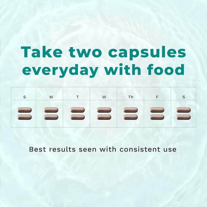 LifeSeasons مكمل فيزيبيليتي للفيتامينات لصحة العين دعم الرؤية جذر الجزر الكروم التوت الأزرق الجنكة بيلوبا مستخلص بذور العنب الليكوبين فيتامين أ اللوتين زياكسانثين 60 كبسولة - Image 3