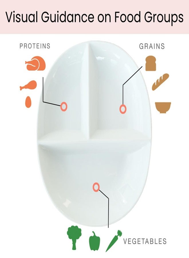 Uba Portion Control Plate (PORCELAIN) for Adults for Healthy Diet - Image 3