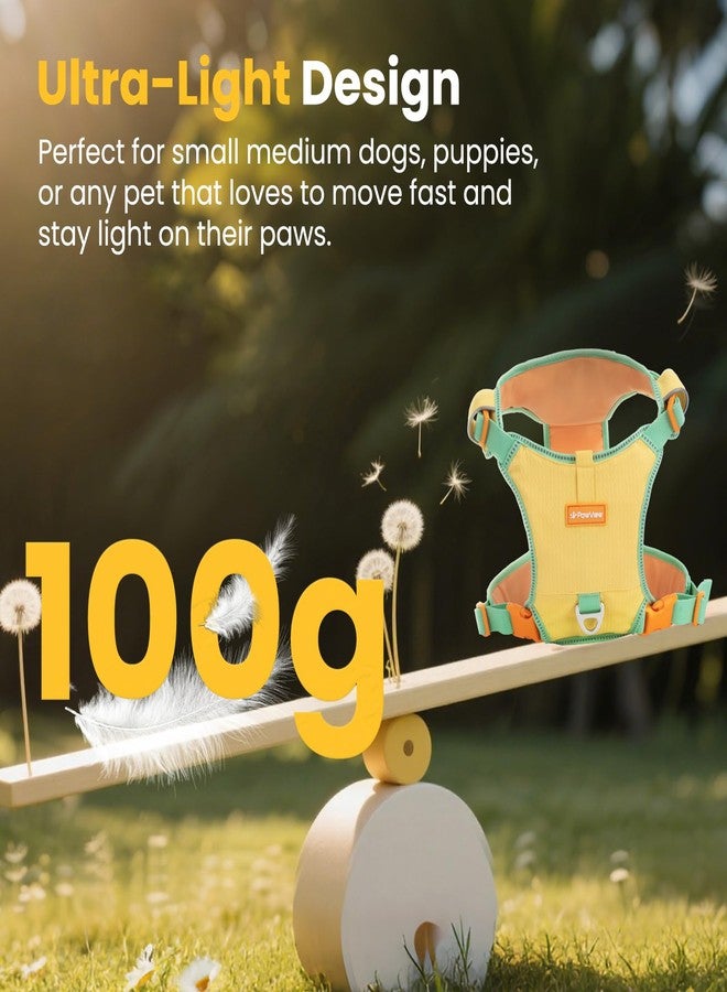 حزام صدر للكلاب PawView XS، خفيف الوزن ومضاد للشد، مزود ببطاقة تعريف، وسترة عاكسة قابلة للتعديل، وحلقتين لتثبيت المقود، ومشبكين، وجيب صغير، مناسب للجري والمشي والتنزه. - Image 2