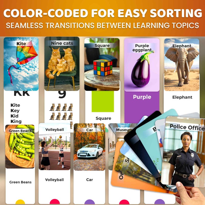 QUOKKA 260 Flash Cards for Kids Ages 3-5 with Realistic Images â€“ Pre K Flash Cards Age 4-5 for Toddlers & Preschool, Alphabet, Numbers, Shapes, etc with 30 Learning Activities Color-Coded for Sorting - Image 5