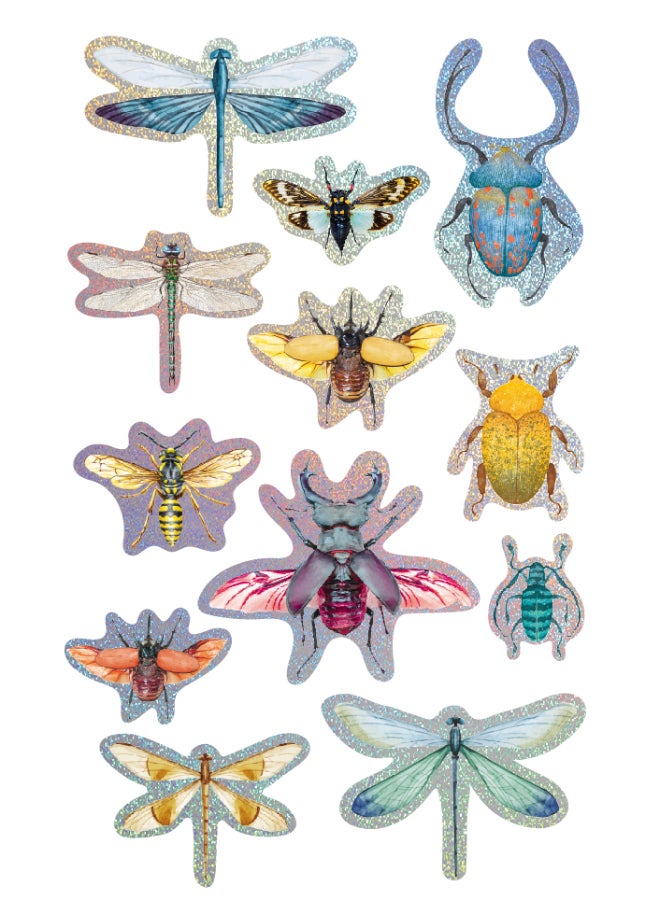 Avenir 3D Stickers 10 pack - Insect Multicolour | These beautiful and realistic-looking 3D stickers pop out to showcase a gorgeous collection. | ages 3+ - Image 4
