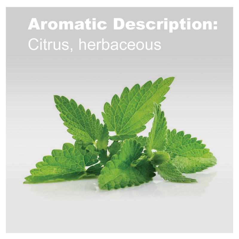 doTERRA - Melissa Essential Oil - 5 mL - Image 3