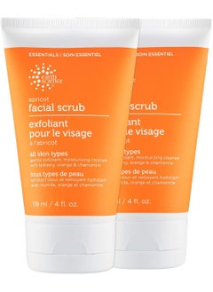 Earth Therapeutics EARTH SCIENCE  Apricot Gentle Exfoliating Facial Scrub for All Skin Types 4 oz 
