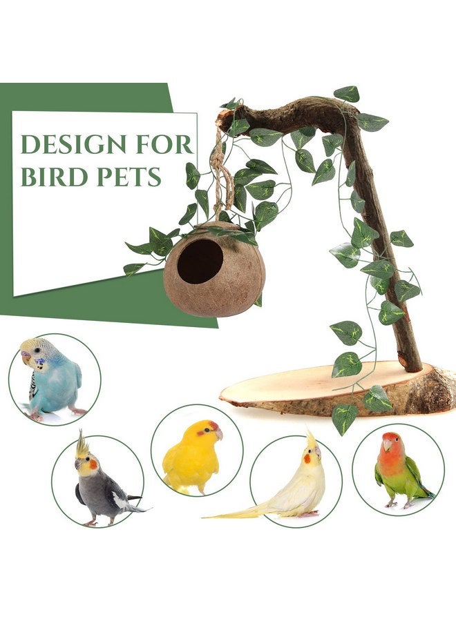 Skylety Skylety 3 Pcs Coconut Bird Nest Hut Hanging Bird House Coconut Hide with 6.9 Feet Fake Vines Coconut Fiber Shell Small Bird Cage Accessories for Parrot Parakeet Canary Reptile Crested Gecko Hamster - Image 2