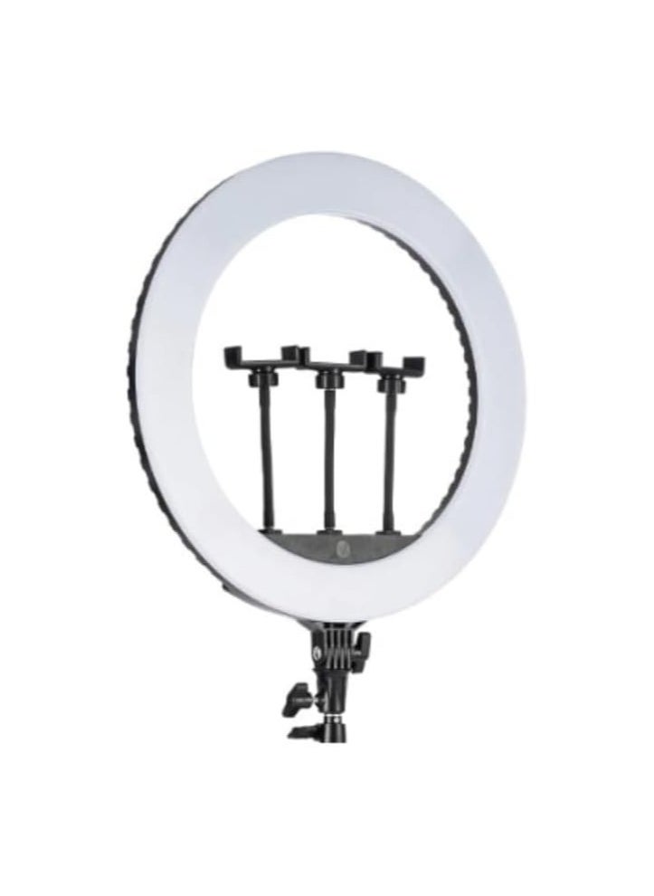(22 Inch) Ring Light With Mini Phone Holder For Stabilization Phone And Shooting Live Videos Compatible With Smartphone And Cameras - Black  - Image 1