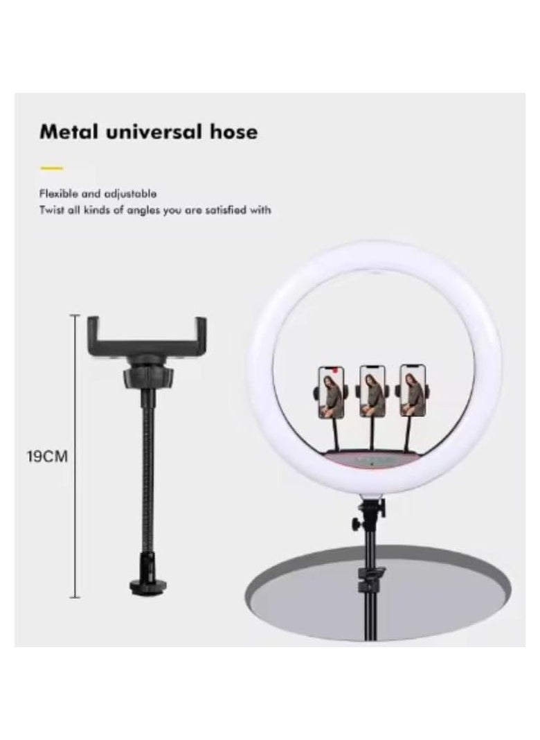 (22 Inch) Ring Light With Mini Phone Holder For Stabilization Phone And Shooting Live Videos Compatible With Smartphone And Cameras - Black  - Image 2