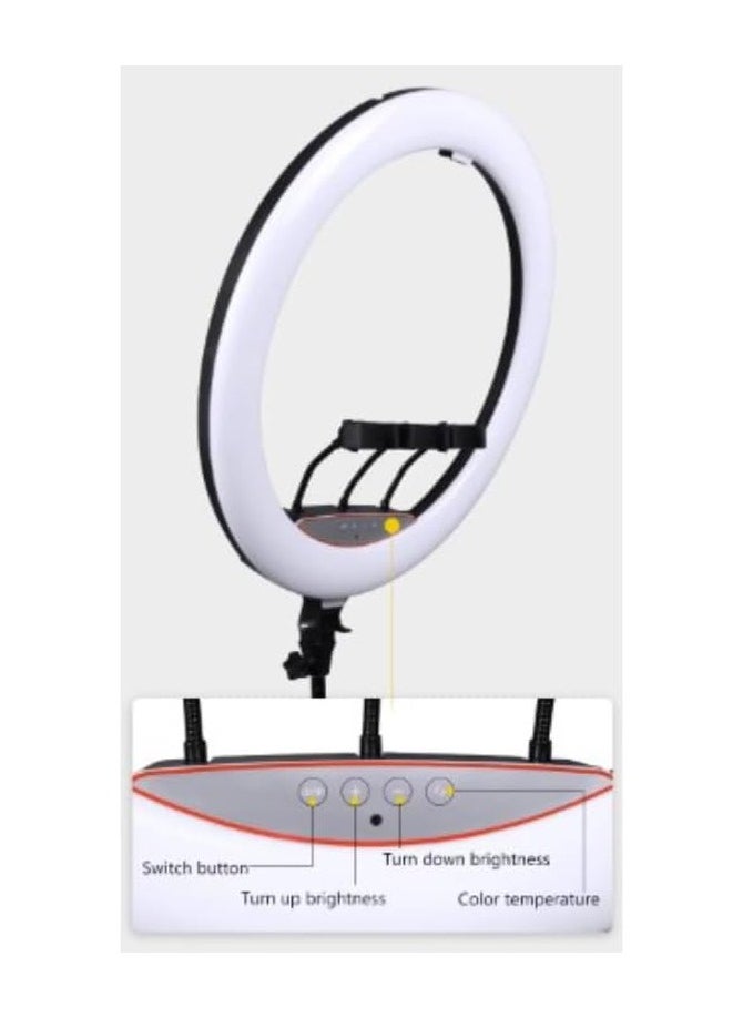 (22 Inch) Ring Light With Mini Phone Holder For Stabilization Phone And Shooting Live Videos Compatible With Smartphone And Cameras - Black  - Image 4