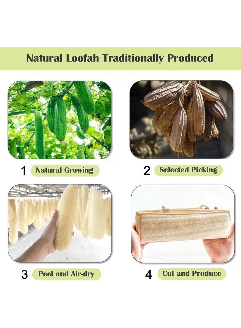 MOMENT Natural Loofah Sponge Back Scrubber for Bath Shower, Exfoliating Body Scrubber, Shower Loofah Scrubber for Men and Women, Bath Sponge, Body Scrub, to Clean Your Body Deeply - Image 3
