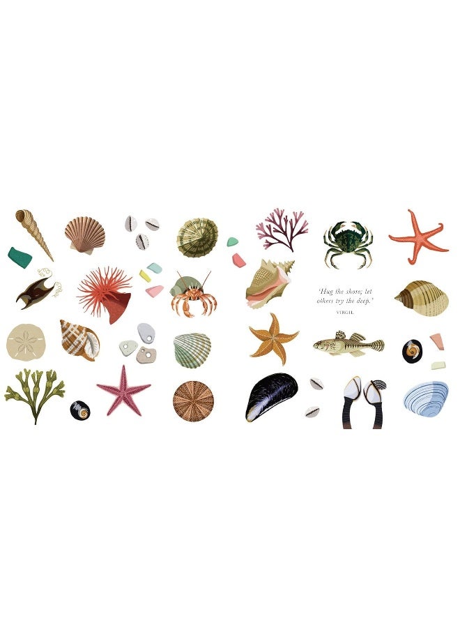 The Little Guide to Shorelines - Image 4