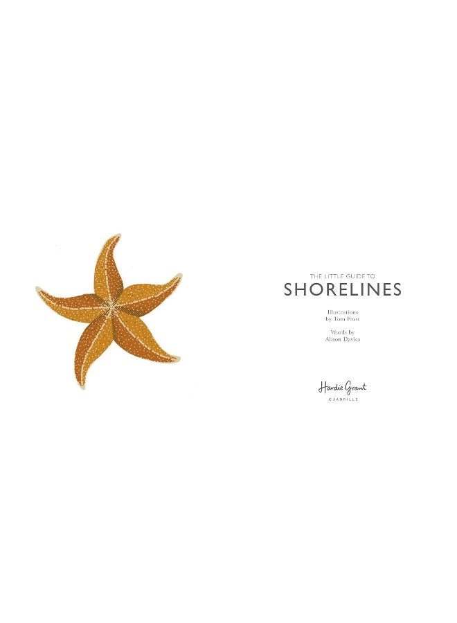 The Little Guide to Shorelines - Image 2