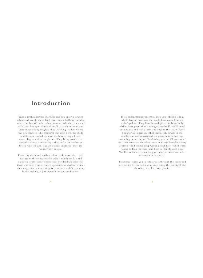 The Little Guide to Shorelines - Image 3