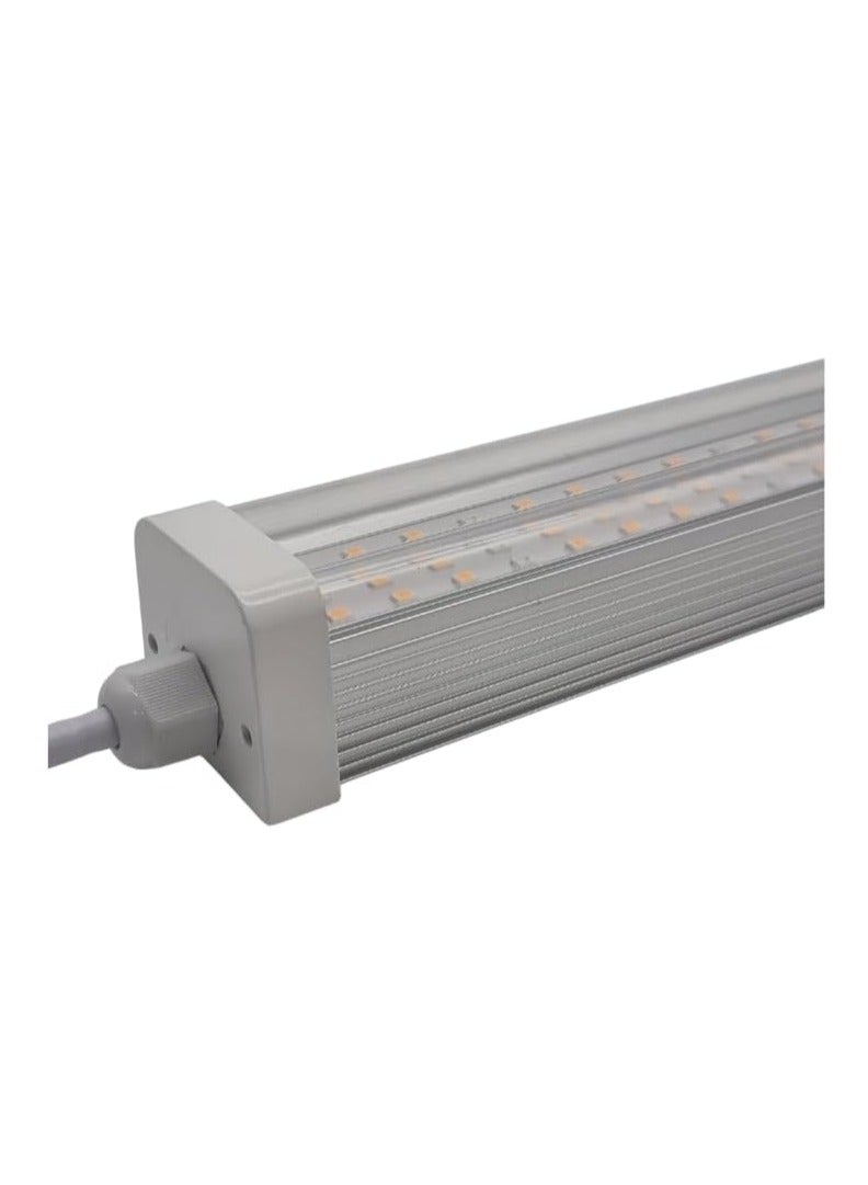 Generic T12 LED Grow Light 20W Full Spectrum, IP65 Waterproof, 600mm, 156 LEDs, Ideal for Strawberries & Fruity Crops  - Image 2
