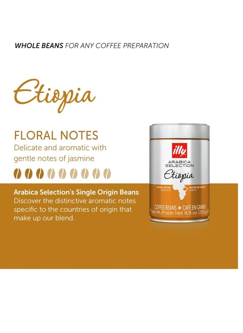 Illy illy Arabica Selection Whole Bean Coffee  Etiopia 250 gm  - Image 5