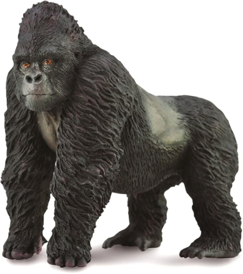 Mountain Gorilla