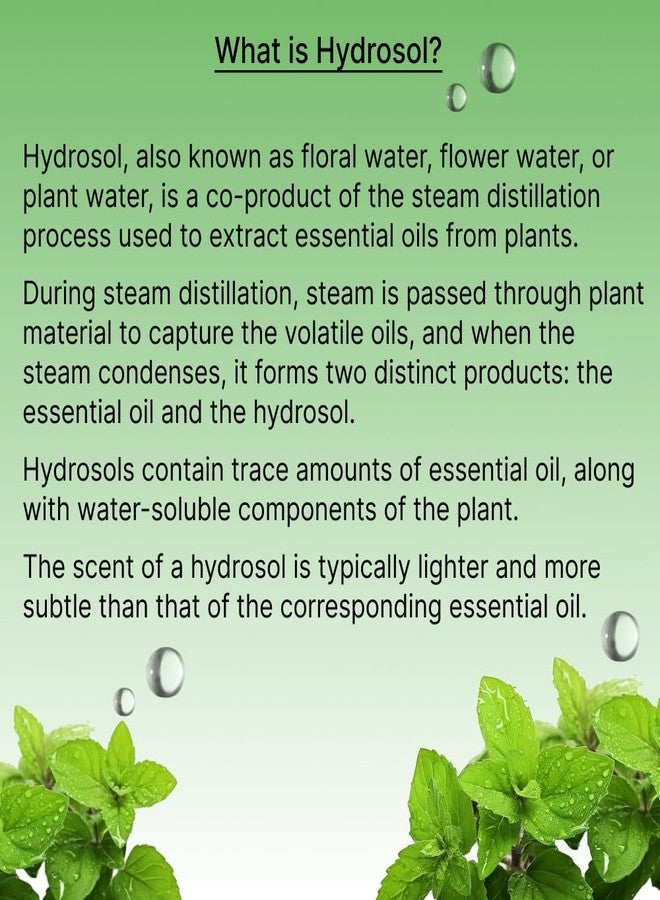 Vriksha Veda Steam Distilled Tulsi Hydrosol I Holy Basil Water I Hydrating Facial Toner for Oily and Acne Prone Skin I Unisex 100 ml - Image 3