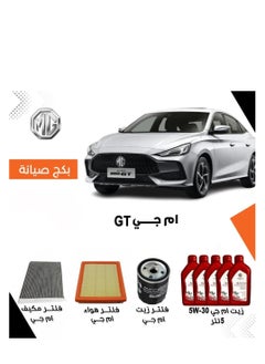 MG GT SERVICE PACKAGE 